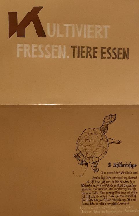 Bild2