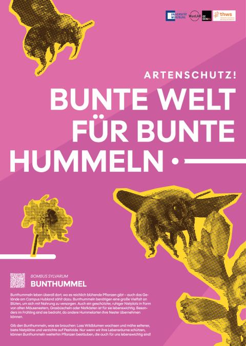 Bild6