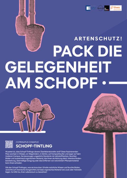 Bild5
