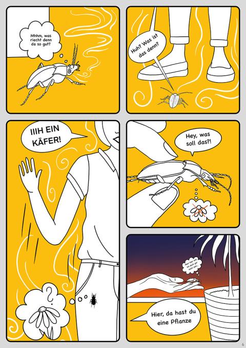 Bild16