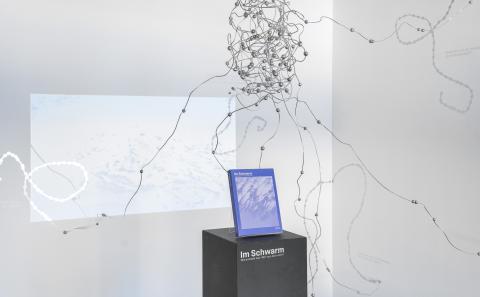 Bild3