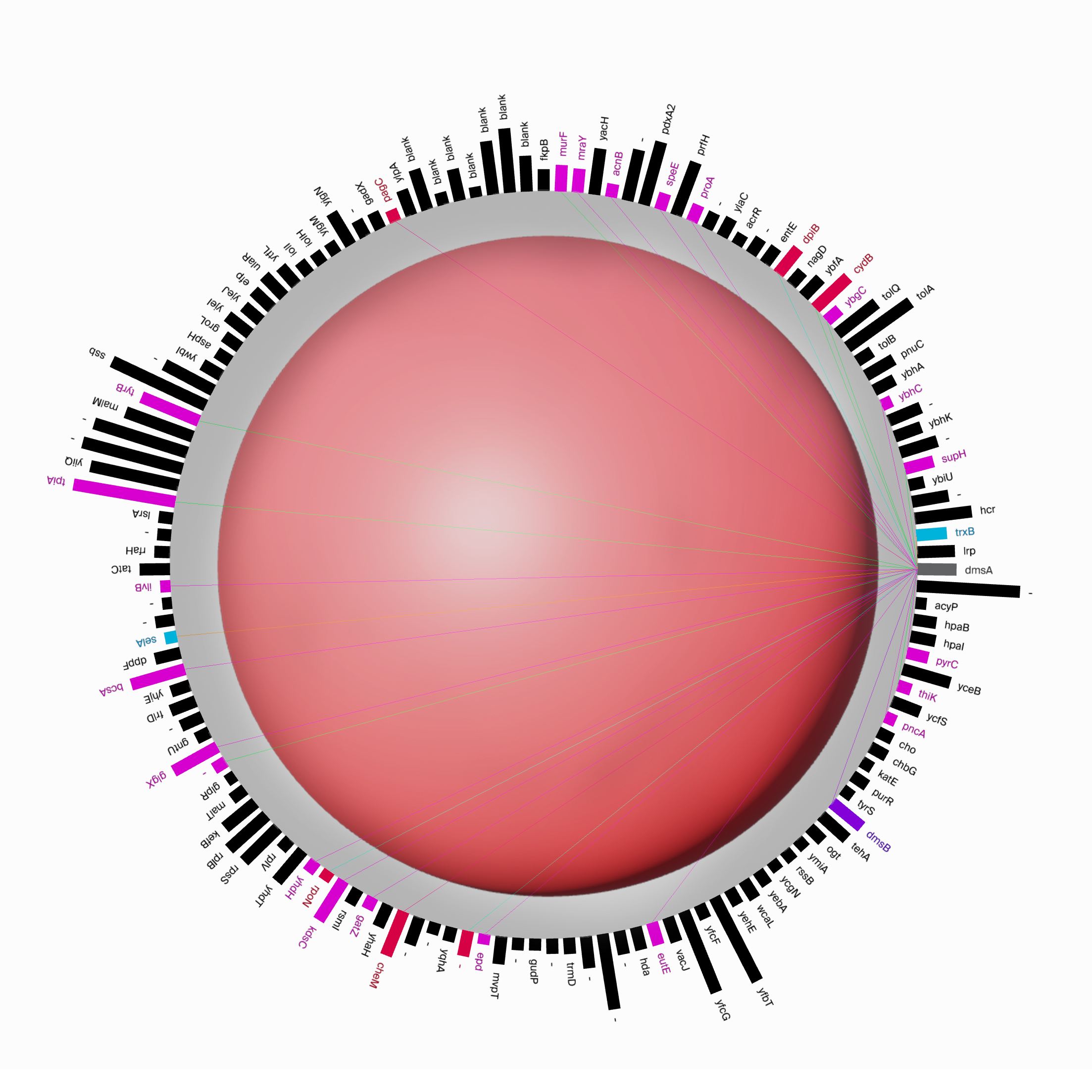 Bild sCircle