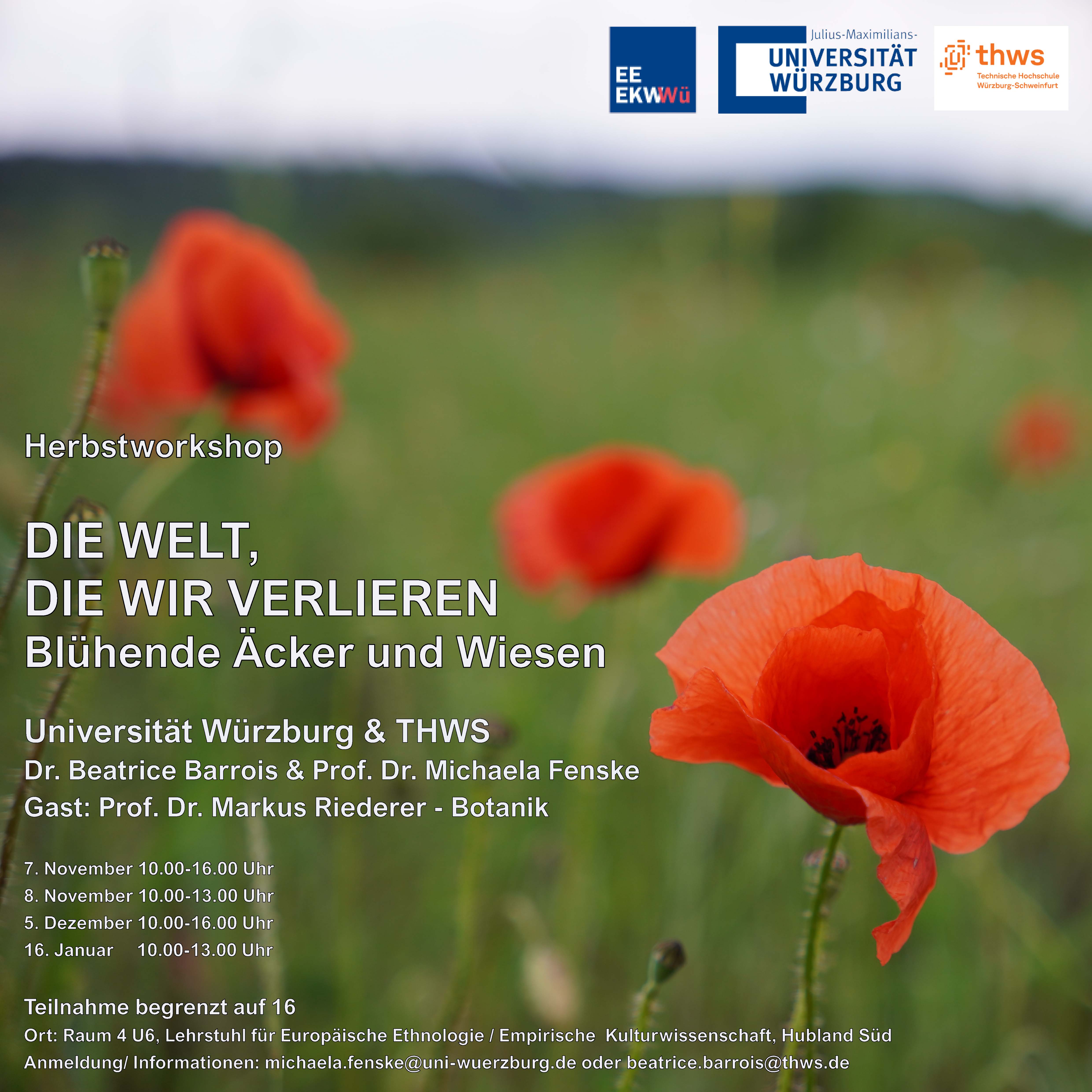 Bild Design meets Plant Studies