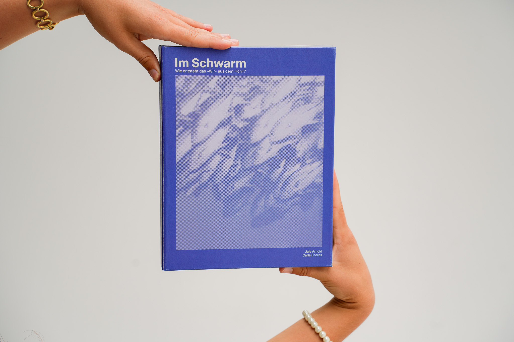 Bild In a Swarm